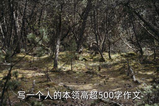 寫一個人的本領高超500字作文