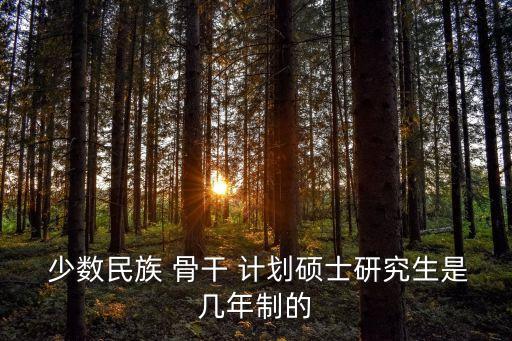 少數(shù)民族骨干計劃