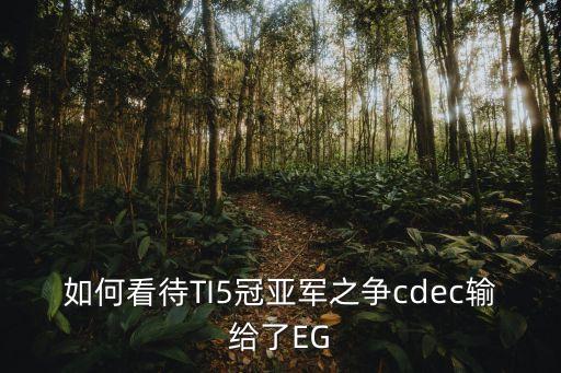ti5冠軍,我覺得我失去一只手ti5國際邀請賽冠軍落敗