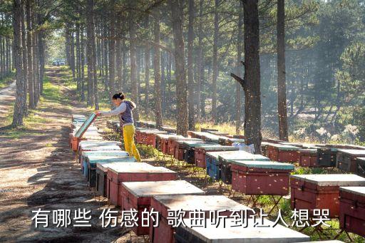 傷感歌曲40首聽了流淚,第三者黑仔、濱海等感傷歌曲推薦