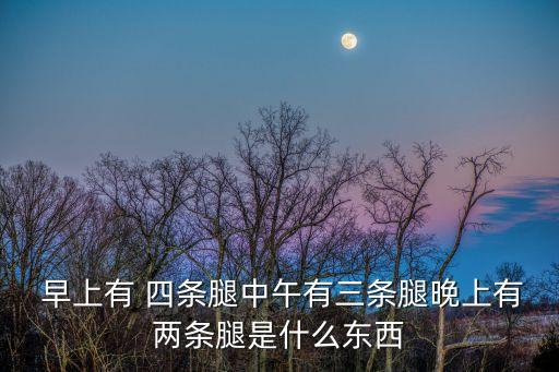  早上有 四條腿中午有三條腿晚上有兩條腿是什么東西