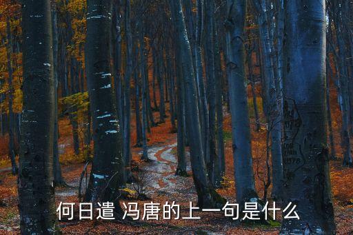 何日遣馮唐,何日send馮唐最后一句是酒足，膽膽?yīng)q開
