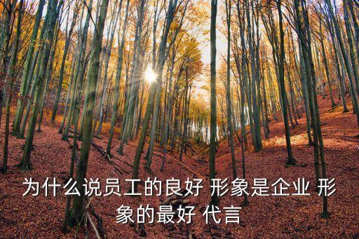 為什么說員工的良好 形象是企業(yè) 形象的最好 代言