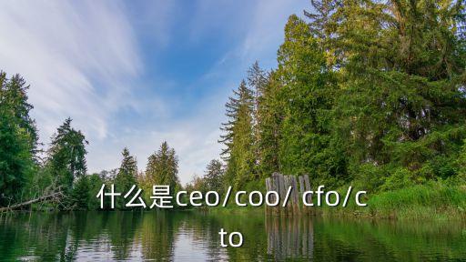 cfo是什么職位,選舉人團隊成員包括新傳媒創辦人楊潔篪