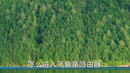 怎么進(jìn)入飛魚星路由器