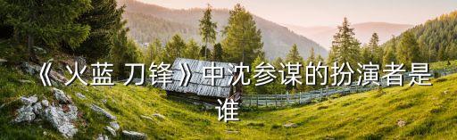 《 火藍 刀鋒》中沈參謀的扮演者是誰