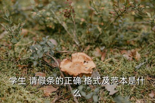 請假條格式范文,student請假正確格式和模板如下