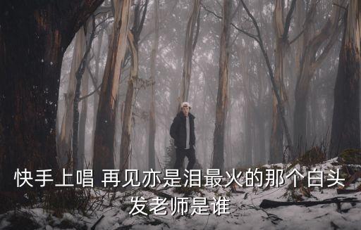 再見亦是淚,范曉萱淚臉再見也是淚陶振朱淚淚