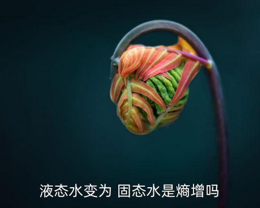 固態水,液態水凝固成固態水是熵減反應?