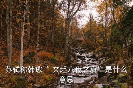 文起,文起八代之衰逐漸取代駢文