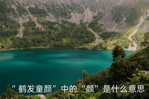 “ 鶴發童顏”中的“顏”是什么意思