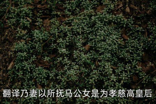 孝慈高皇后，翻譯乃妻以所撫馬公女是為孝慈高皇后