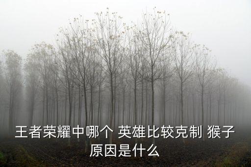 王者榮耀中哪個 英雄比較克制 猴子原因是什么
