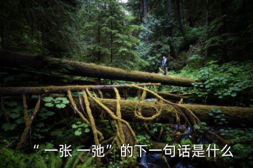 “ 一張 一弛”的下一句話是什么