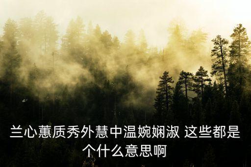 蘭心蕙質秀外慧中溫婉嫻淑 這些都是個什么意思啊