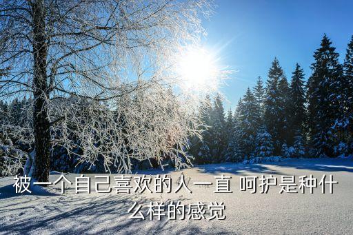 被一個自己喜歡的人一直 呵護是種什么樣的感覺
