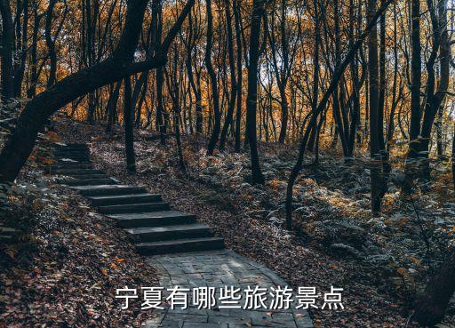 寧夏景區,寧夏旅游景點:西夏陵是西夏王朝陵墓