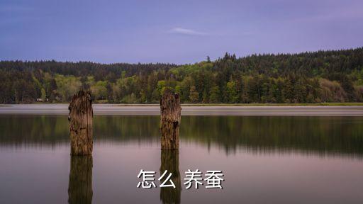 養(yǎng)蠶技術(shù),中國古代養(yǎng)蠶之神神秘之謎引發(fā)爭議