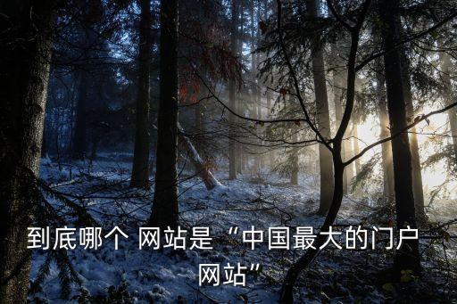 到底哪個 網(wǎng)站是“中國最大的門戶 網(wǎng)站”