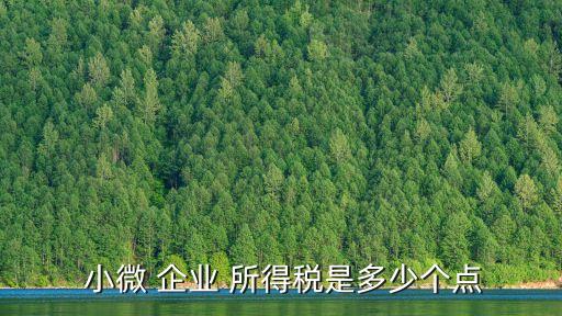 小微企業所得稅稅率
