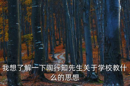 我想了解一下陶行知先生關(guān)于學(xué)校教什么的思想