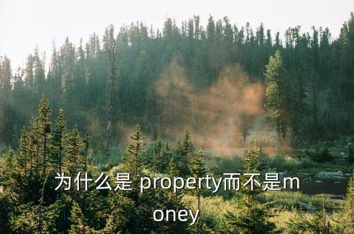 property是什么意思,武漢出現(xiàn)第一起確診病例