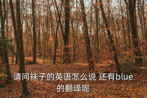 襪子用英語怎么說，襪子英文怎樣說
