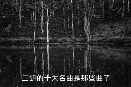二胡良宵,劉天華二胡solo良宵原名《除夜之歌》