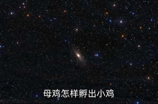 怎樣孵化小雞，雞蛋怎么孵小雞