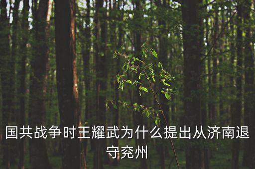 國共戰(zhàn)爭時(shí)王耀武為什么提出從濟(jì)南退守兗州