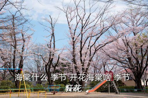 海棠花什么季節開花,四季海棠春秋兩季都開花