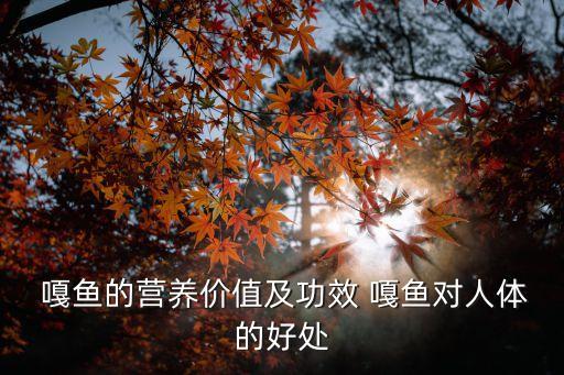  嘎魚的營養(yǎng)價值及功效 嘎魚對人體的好處