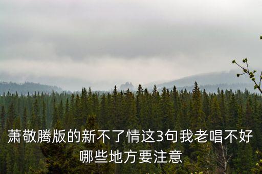 新不了情蕭敬騰，新不了情 蕭敬騰 串詞