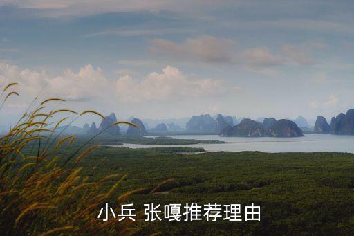  小兵 張嘎推薦理由