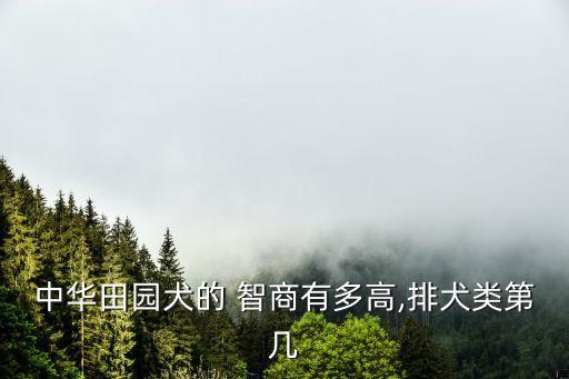 土狗的智商,中華園犬智商高馴服難度低需拯救