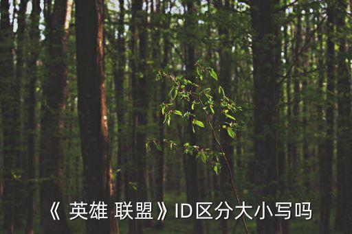 《 英雄 聯盟》ID區分大小寫嗎