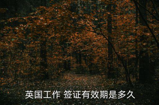 英國工作簽證,中國公民如欲前往他國還需取得目的地國簽證