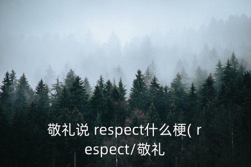 敬禮說 respect什么梗( respect/敬禮