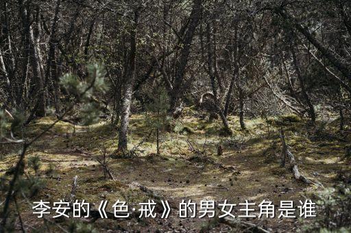 se戒,李安新片《色戒》男主角已確定是梁朝偉