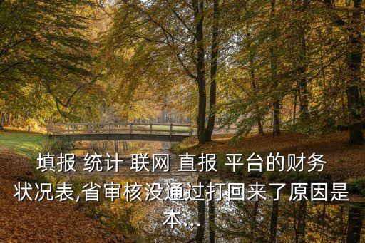 填報 統計 聯網 直報 平臺的財務狀況表,省審核沒通過打回來了原因是本...