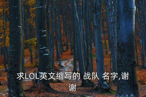 lol戰隊名字,我們是世界精英，永不屈服!