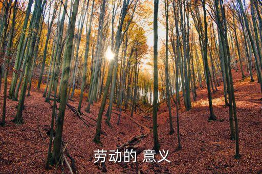勞動(dòng)的意義和價(jià)值,馬克思主義勞動(dòng)價(jià)值論由創(chuàng)立并完成
