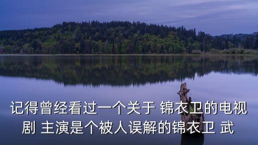 記得曾經(jīng)看過一個(gè)關(guān)于 錦衣衛(wèi)的電視劇 主演是個(gè)被人誤解的錦衣衛(wèi) 武