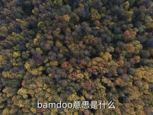 bamdoo意思是什么