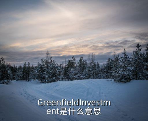 investment,中國將注資三億美元設備和設備投入市場