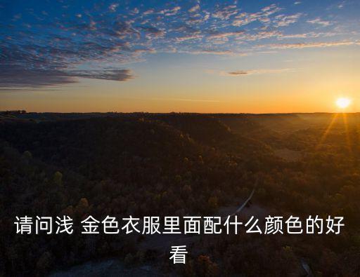 請問淺 金色衣服里面配什么顏色的好看