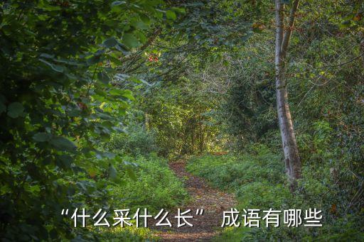 采的成語,采風(fēng)訪俗馬國女導(dǎo)演挑戰(zhàn)傳統(tǒng)文化習(xí)俗