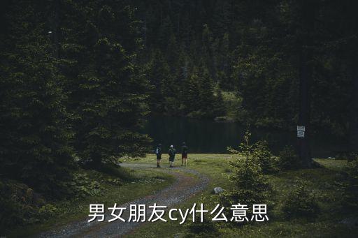 cy啥意思，游戲問道里邊的CY是什么意思