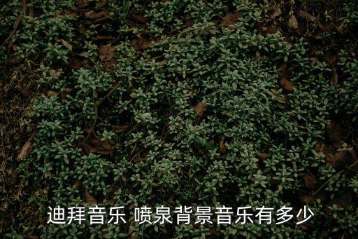  迪拜音樂 噴泉背景音樂有多少