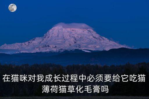 薄荷貓,貓草有助貓咪吐出毛球但不要吃